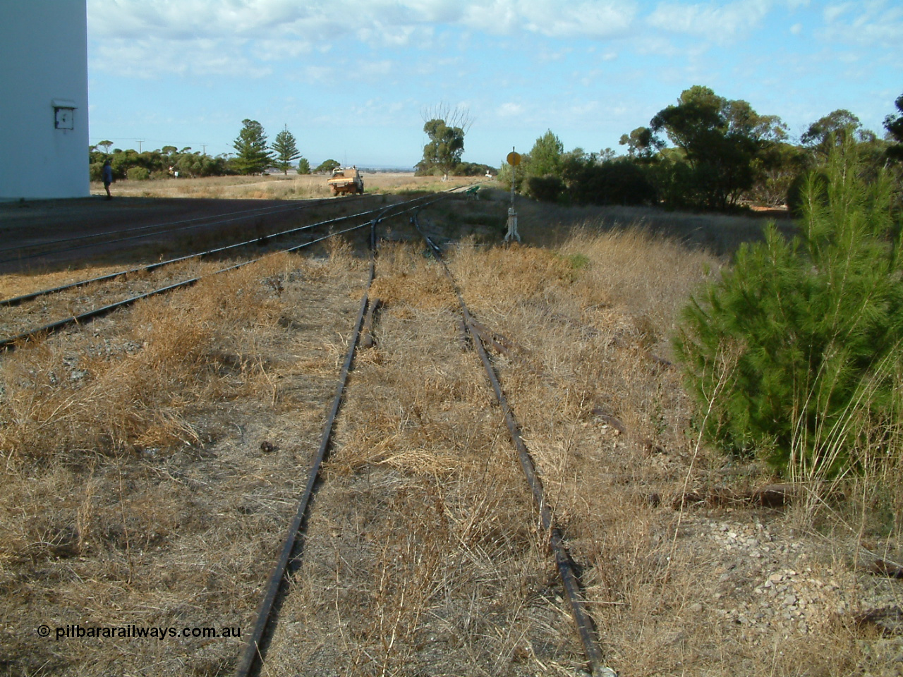 030406 092518
Yeelanna, yard view looking south from the station siding with the south leg of the triangle points, lever and indicator visible, pine tree growing between rails. 6th April 2003.
