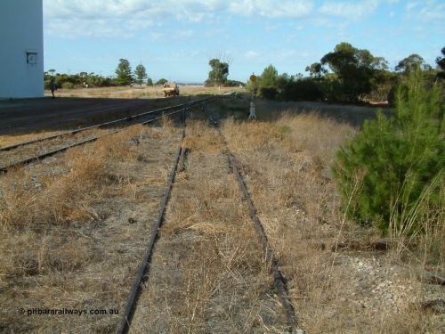 030406 092518
Yeelanna, yard view looking south from the station siding with the south leg of the triangle points, lever and indicator visible, pine tree growing between rails. April 6, 2003.
