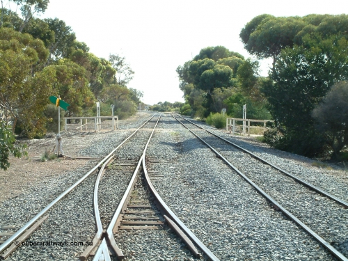 030406 094634
Cummins, track view looking north at the north end of the yard, Thevenard line curves away to the left while the Buckleboo line curves away to the right across the pedestrian crib crossing. The points, lever and indicator are for the crossovers which form the crossing loop. April 6, 2003.
