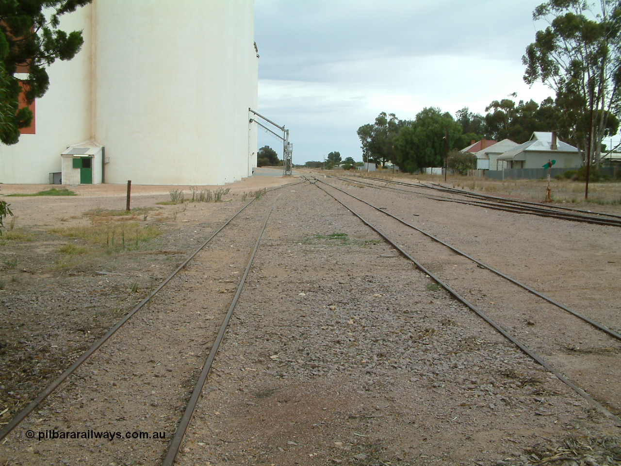 030407 094147
Minnipa, station yard view from the grain siding storage roads looking north, mainline to the right, silo out-flow spouts. 7th April 2003.
