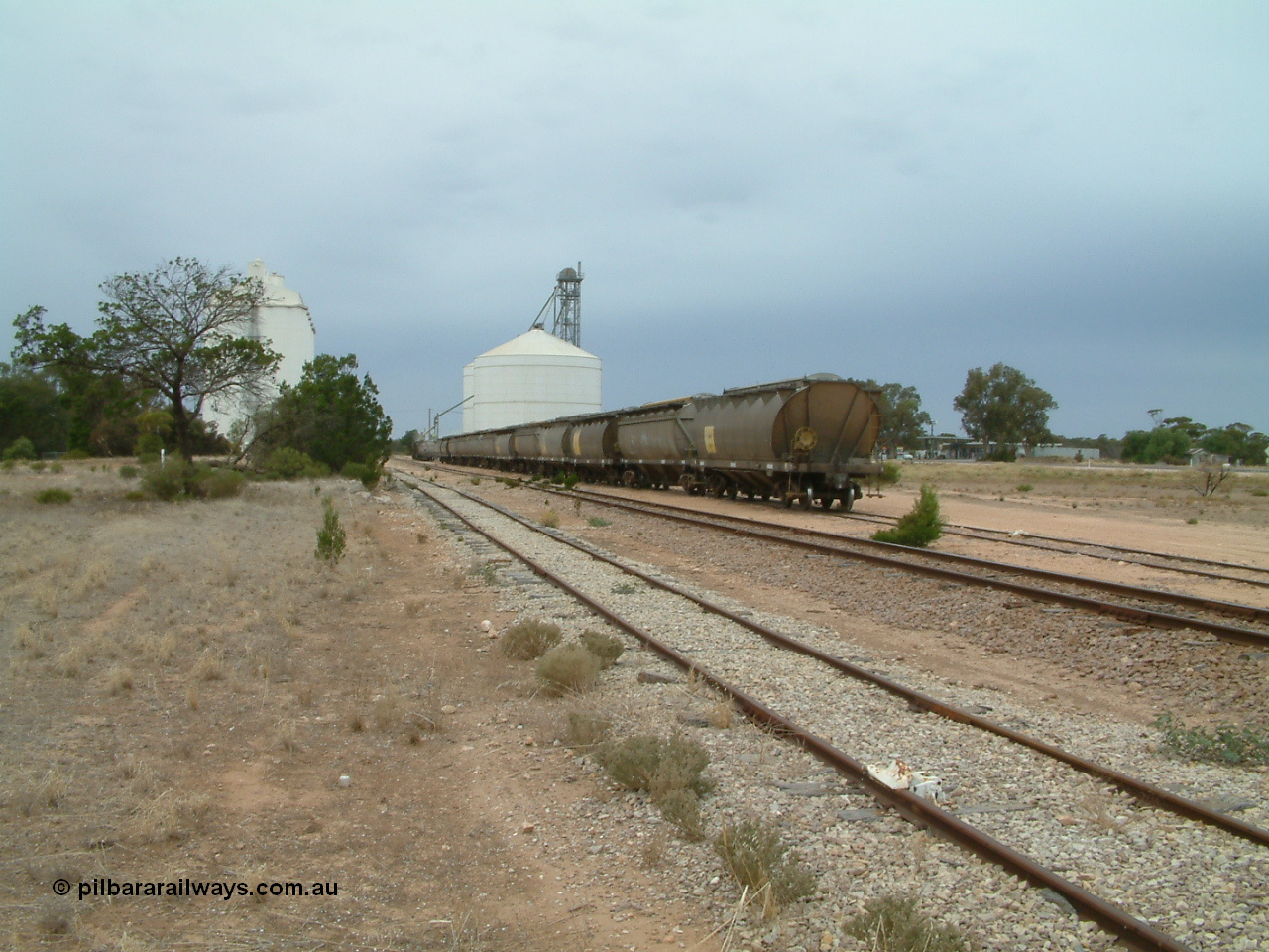 030407 105420
Poochera, yard view looking south across the goods siding, min line and grain siding with loading of a grain rake taking place on the grain siding with the Ascom silo complex behind. 7th April 2003.
