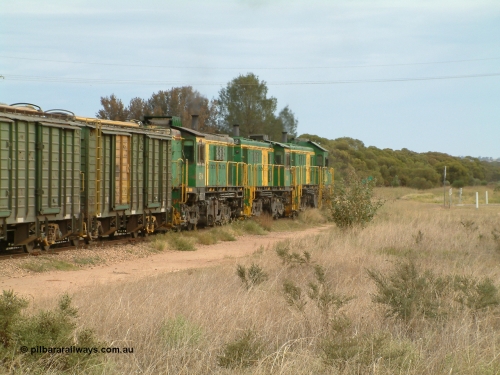 030407 082321
Wudinna, empty grain train shunts forward with a trio of former Australian National locomotives with rebuilt former AE Goodwin ALCo model DL531 830 class ex 839, serial 83730, rebuilt by Port Augusta Workshops to DA class, DA 4 leading two AE Goodwin ALCo model DL531 830 class units 842, serial 84140 and 851 serial 84137, 851 having been on the Eyre Peninsula since delivered in 1962, to shunt off empty waggons into the grain siding. April 7, 2003.
Keywords: DA-class;DA4;83730;Port-Augusta-WS;ALCo;DL531G/1;830-class;839;rebuild;