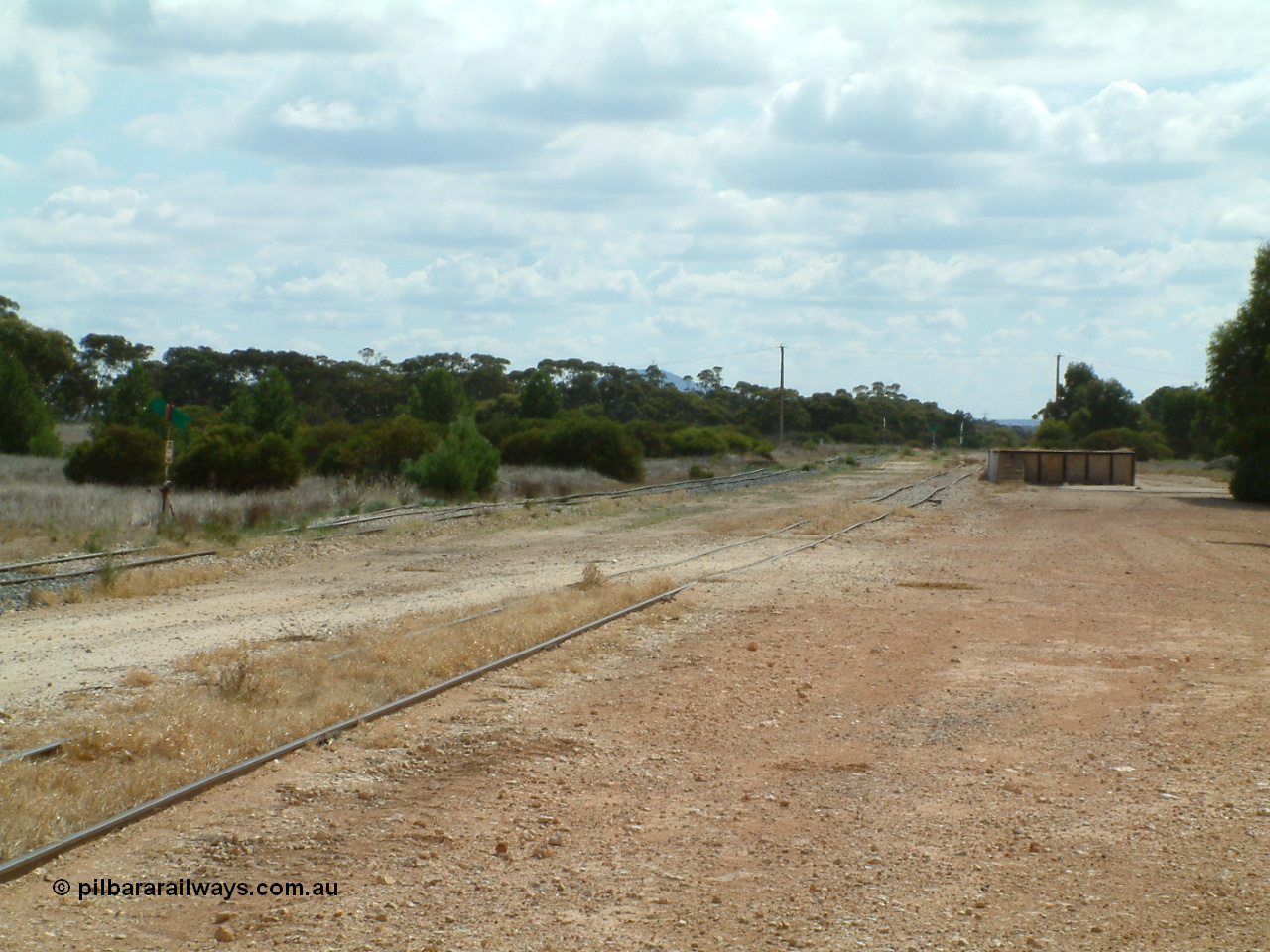 030409 112229
Darke Peake, view looking north from the south end of the triangle, point lever with rail just visible heading into the bush, goods and grain siding in closest to camera, loading ramp at right.
