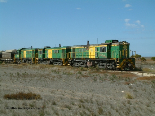 030409 140605
Wharminda, loaded grain train arrives behind 830 class unit 851 AE Goodwin ALCo model DL531 serial 84137, 851 has spent its entire operating career on the Eyre Peninsula, with fellow 830 class 842 serial 84140 and a rebuilt unit DA 4 as they stop to pick up loaded waggons.
Keywords: 830-class;851;AE-Goodwin;ALCo;DL531;84137;