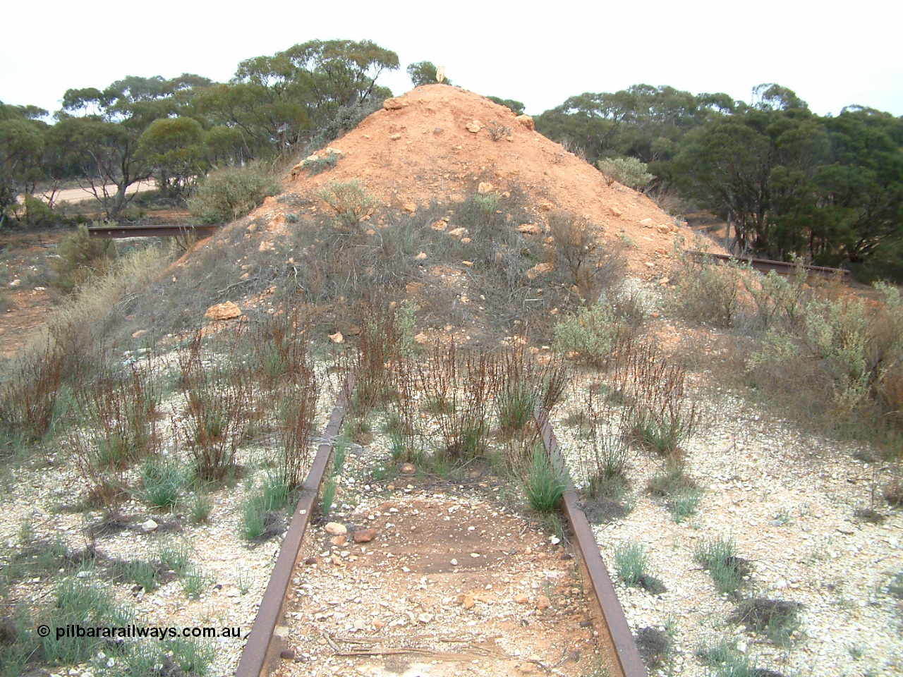 030411 085258
Buckleboo, the end of the line looking north, a once planned extension onto the Pinkawillinie lands never proceeded. [url=https://goo.gl/maps/HjW1xkya1xC2]Geodata here[/url].
