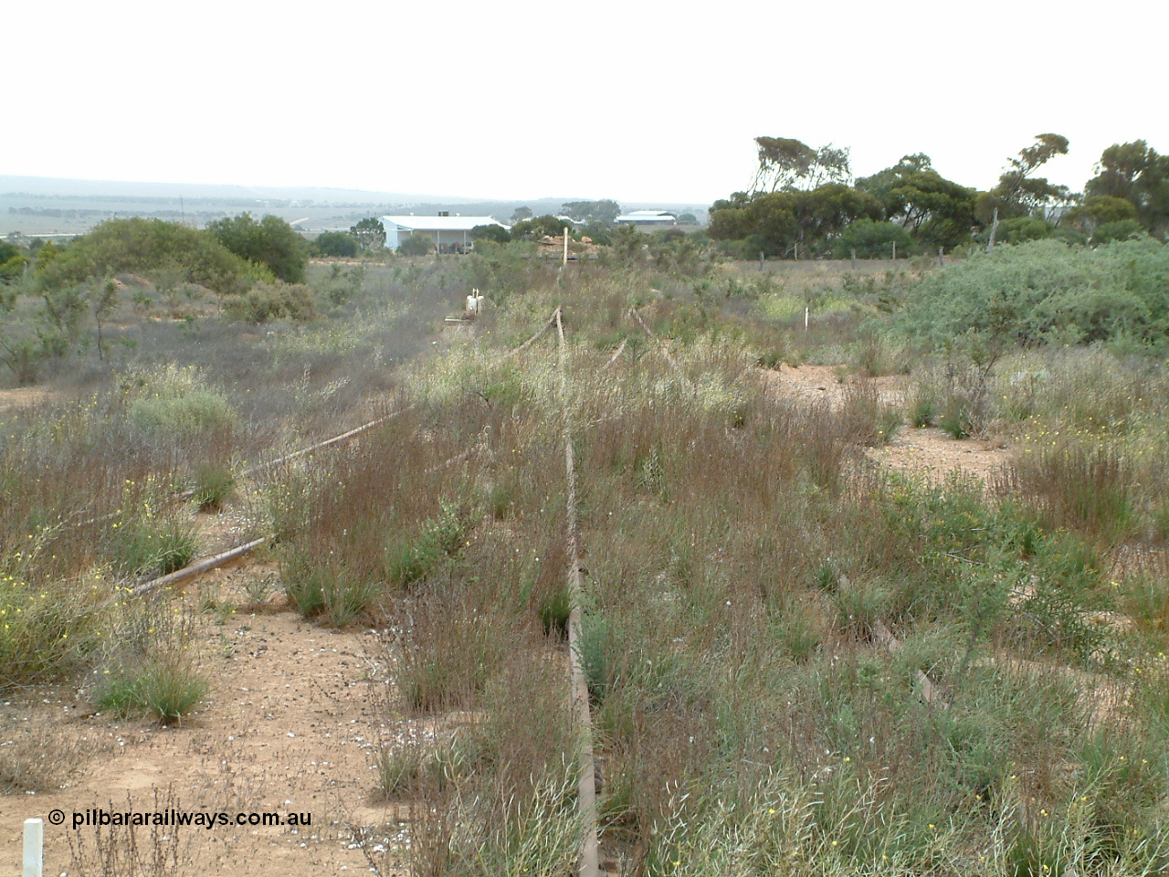 030414 153304
Penong, looking west along to the end of line from the grain loop, 'mainline' coming in on the left.
