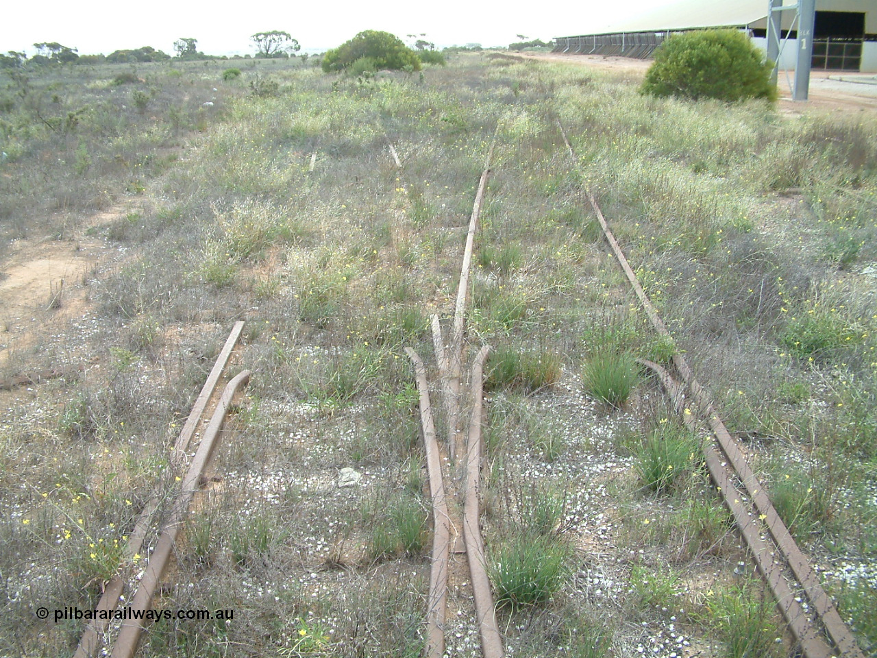 030414 153925
Penong, yard view with the triangle east leg peeling off to the left as the goods loop curves to the right to re-join the mainline. The loadout leg for silo block 1 is on the right with the horizontal bunker behind.
