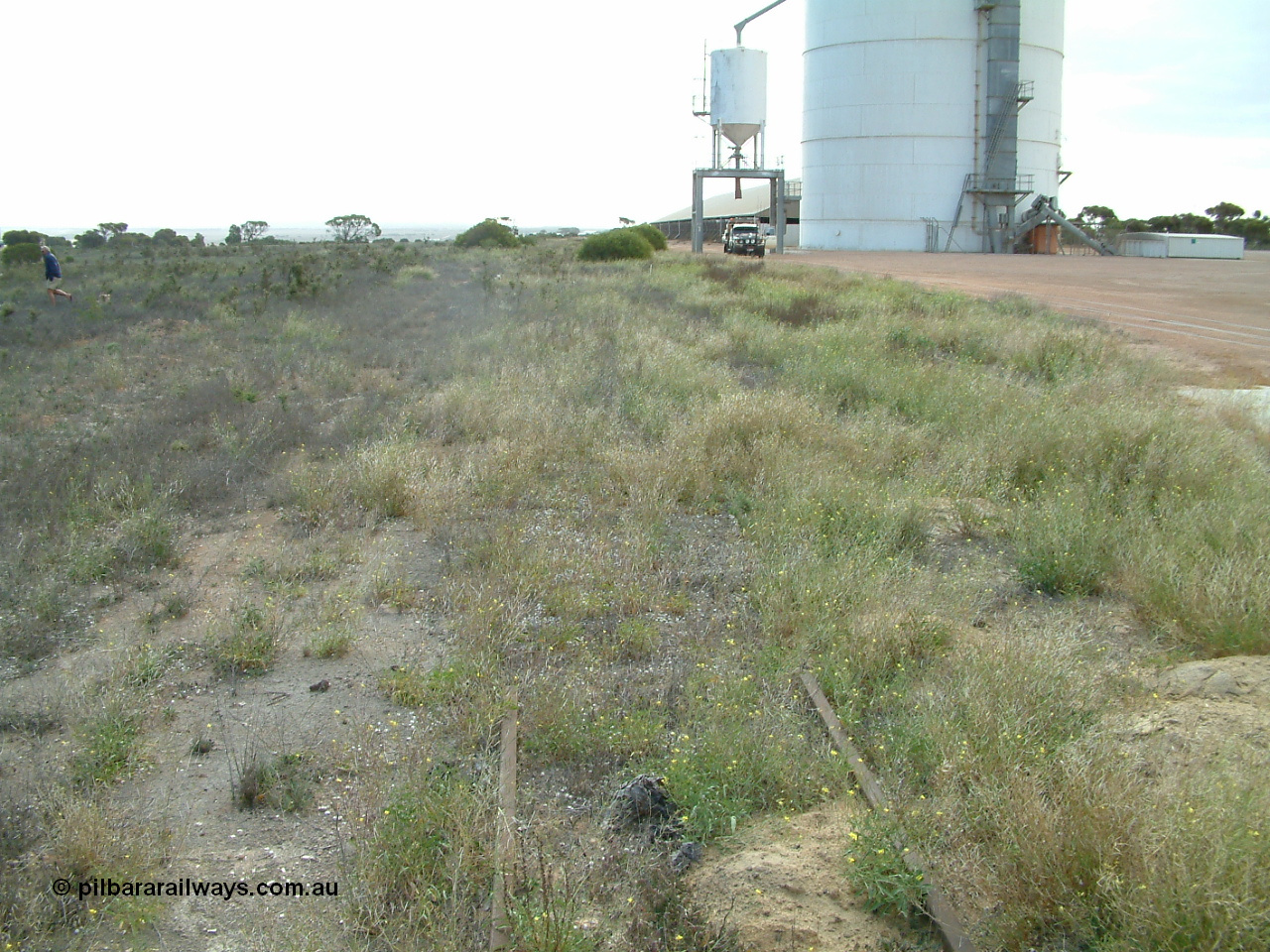 030414 154029
Penong, yard view looking along the goods loop, mainline can be seen in the grass on the right and the grain loop in the clear on the far right. Car is parked at Ascom silo block 1 loadout gantry, Pope is looking for more triangle track.
