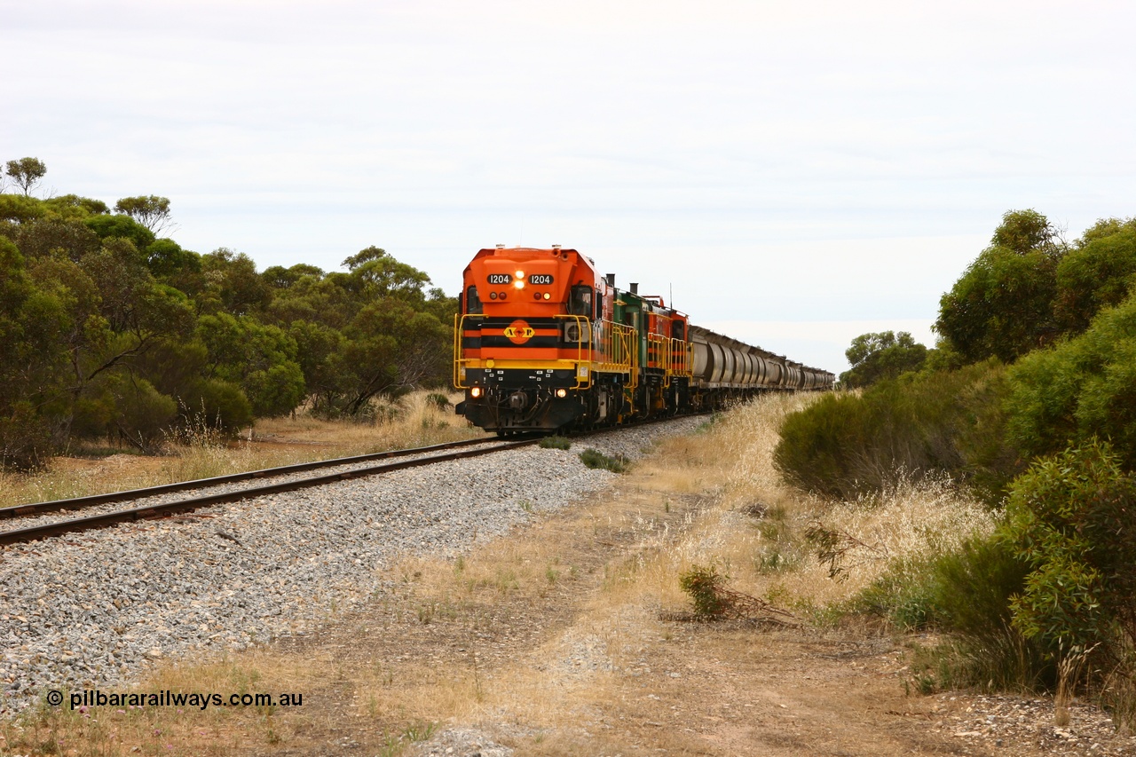 060110 2150
Pillana, former station site, 59 km, empty grain train behind ARG 1200 class unit 1204, a Clyde Engineering EMD model G12C serial 65-428, originally built for the WAGR as the final unit of fourteen A class locomotives in 1965 then sent to the Eyre Peninsula in July 2004, and two 830 class AE Goodwin built ALCo model DL531 units 842 serial 84140 ex SAR broad gauge to Eyre Peninsula in October 1987, and 851 serial 84137 new to Eyre Peninsula in 1962. [url=https://goo.gl/maps/BcnmpGwGqtw]Approx. location of photo[/url].
Keywords: 1200-class;1204;Clyde-Engineering-Granville-NSW;EMD;G12C;65-428;A-class;A1514;830-class;842;851;AE-Goodwin;ALCo;DL531;84137;84140;