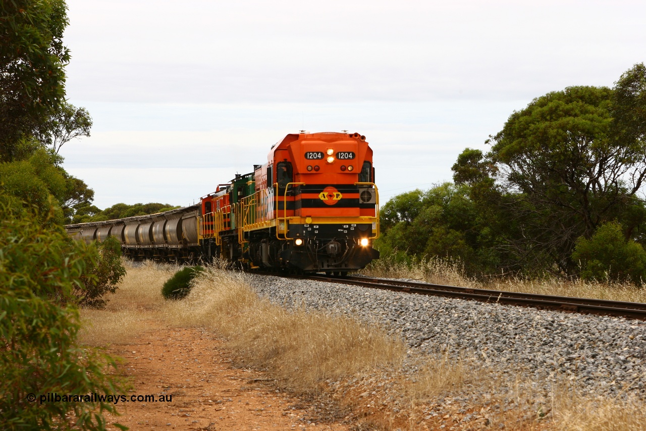 060110 2156
Near the 64 km between Pillana and Cummins, empty grain train behind ARG 1200 class unit 1204, a Clyde Engineering EMD model G12C serial 65-428, originally built for the WAGR as the final unit of fourteen A class locomotives in 1965 then sent to the Eyre Peninsula in July 2004, and two 830 class AE Goodwin built ALCo model DL531 units 842 serial 84140 ex SAR broad gauge to Eyre Peninsula in October 1987, and 851 serial 84137 new to Eyre Peninsula in 1962. [url=https://goo.gl/maps/NECDZnDkLfv]Approx. location of photo[/url].
Keywords: 1200-class;1204;Clyde-Engineering-Granville-NSW;EMD;G12C;65-428;A-class;A1514;830-class;842;851;AE-Goodwin;ALCo;DL531;84137;84140;