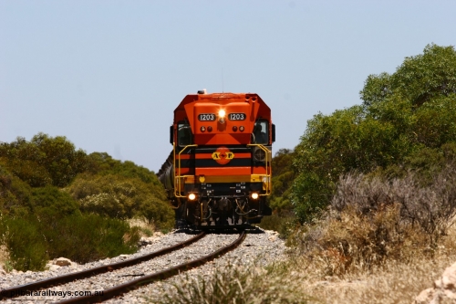 060111 2253
Tooligie, Mac's Road grade crossing at the 110 km, ARG 1200 class unit 1203, a Clyde Engineering EMD model G12C serial 65-427, one of fourteen originally built between 1960-65 for WAGR as their A class A 1513, fitted with dynamic brakes and financed by Western Mining Corporation, started working on the Eyre Peninsula in November 2004 leads an empty grain train north. 11th January 2006.
