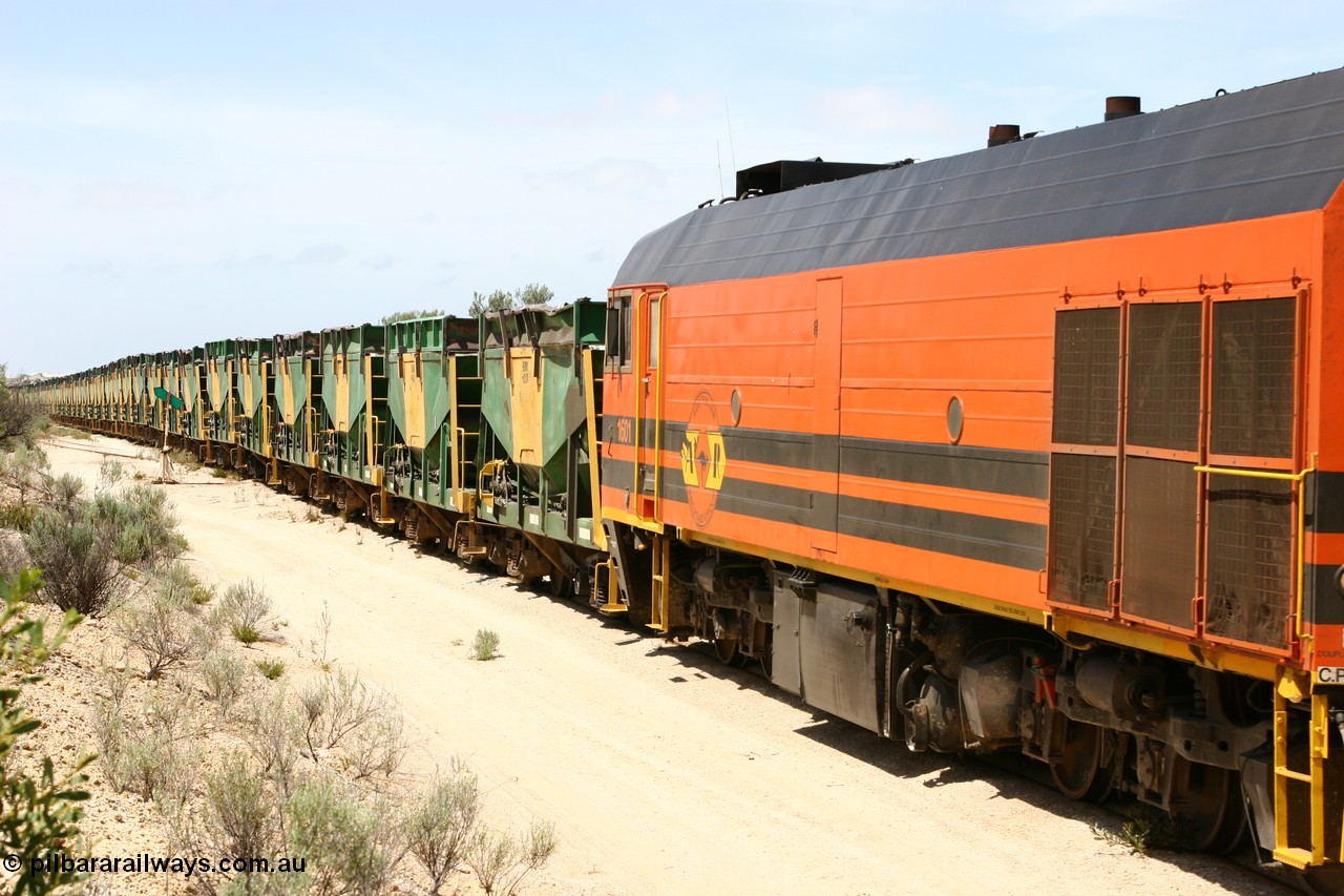 060113 2497
Kevin, empty train 6DD3 on the [url=https://goo.gl/maps/jZAuZ]stub of the now closed line to Penong[/url] shunts back onto the triangle leg to reverse the train prior to loading. 13th January 2006.
Keywords: 1600-class;1601;71-728;Clyde-Engineering-Granville-NSW;EMD;JL22C;NJ-class;NJ1;