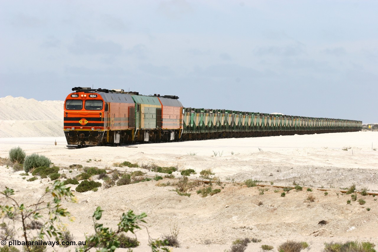 060113 2518
Kevin, empty train 6DD3 is on the west leg of the triangle as it prepares to pull forward and head south towards original gypsum loading siding to continue the reversing process. 13th January 2006.
Keywords: 1600-class;1604;71-731;Clyde-Engineering-Granville-NSW;EMD;JL22C;NJ-class;NJ4;