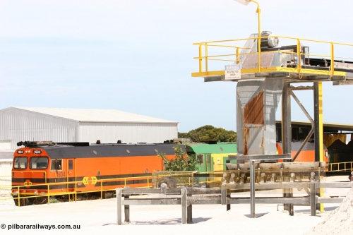 060113 2571
Thevenard, a view of the conveyors and unloading shed of Gypsum Resources Australia (GRA) plant as train 6DD4 commences unloading. January 13, 2006.
Keywords: 1600-class;1604;Clyde-Engineering-Granville-NSW;EMD;JL22C;71-731;NJ-class;NJ4;