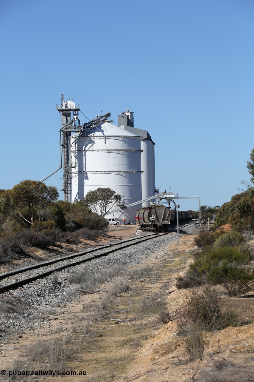 130703 0124
Murdinga, loading of grain from the Ascom out loading spout, looking south from Railway Tce. [url=https://goo.gl/maps/cY3UB7Z7a5uRhPZf9]Geo location[/url]. 3rd July 2013.
