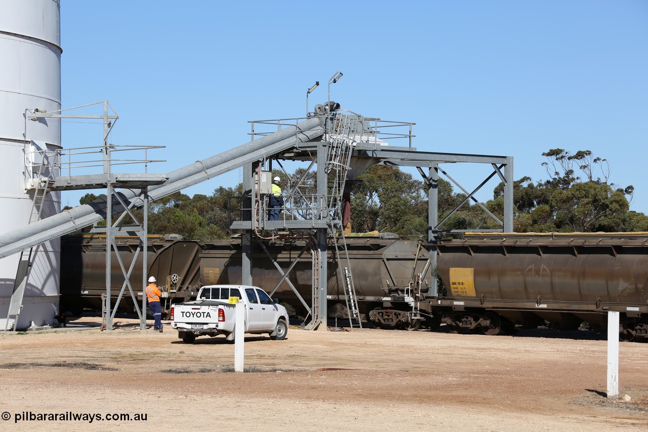 130703 0133
Murdinga, HCN type bogie grain hopper waggon HCN 20, originally an NHB type hopper built by Tulloch Ltd for the Commonwealth Railways North Australia Railway. One of forty rebuilt by Islington Workshops 1978-79 to the HCN type with a 36 ton rating, increased to 40 tonnes in 1984. Seen here being loaded with grain between two HAN type waggons with Moose Metalworks roll-top cover.
Keywords: HCN-type;HCN20;SAR-Islington-WS;rebuild;Tulloch-Ltd-NSW;NHB-type;NHB1594;