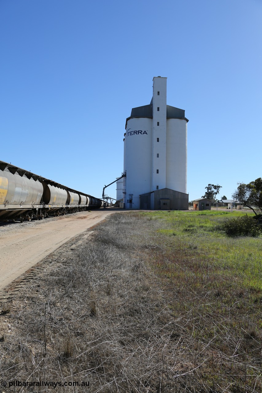 130703 0150
Murdinga, view looking north at the eight cell concrete silo complex built by SACBH with the Ascom silo visible behind and train being loaded in the siding. [url=https://goo.gl/maps/WFRgXQam4P4REFzu6]Geo location[/url]. 3rd July 2013.
