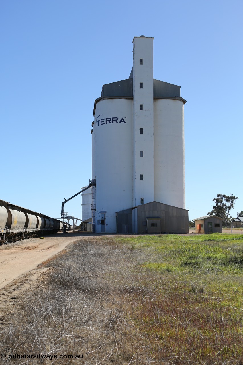 130703 0151
Murdinga, view looking north at the eight cell concrete silo complex built by SACBH with the Ascom silo visible behind and train being loaded in the siding. [url=https://goo.gl/maps/WFRgXQam4P4REFzu6]Geo location[/url]. 3rd July 2013.
