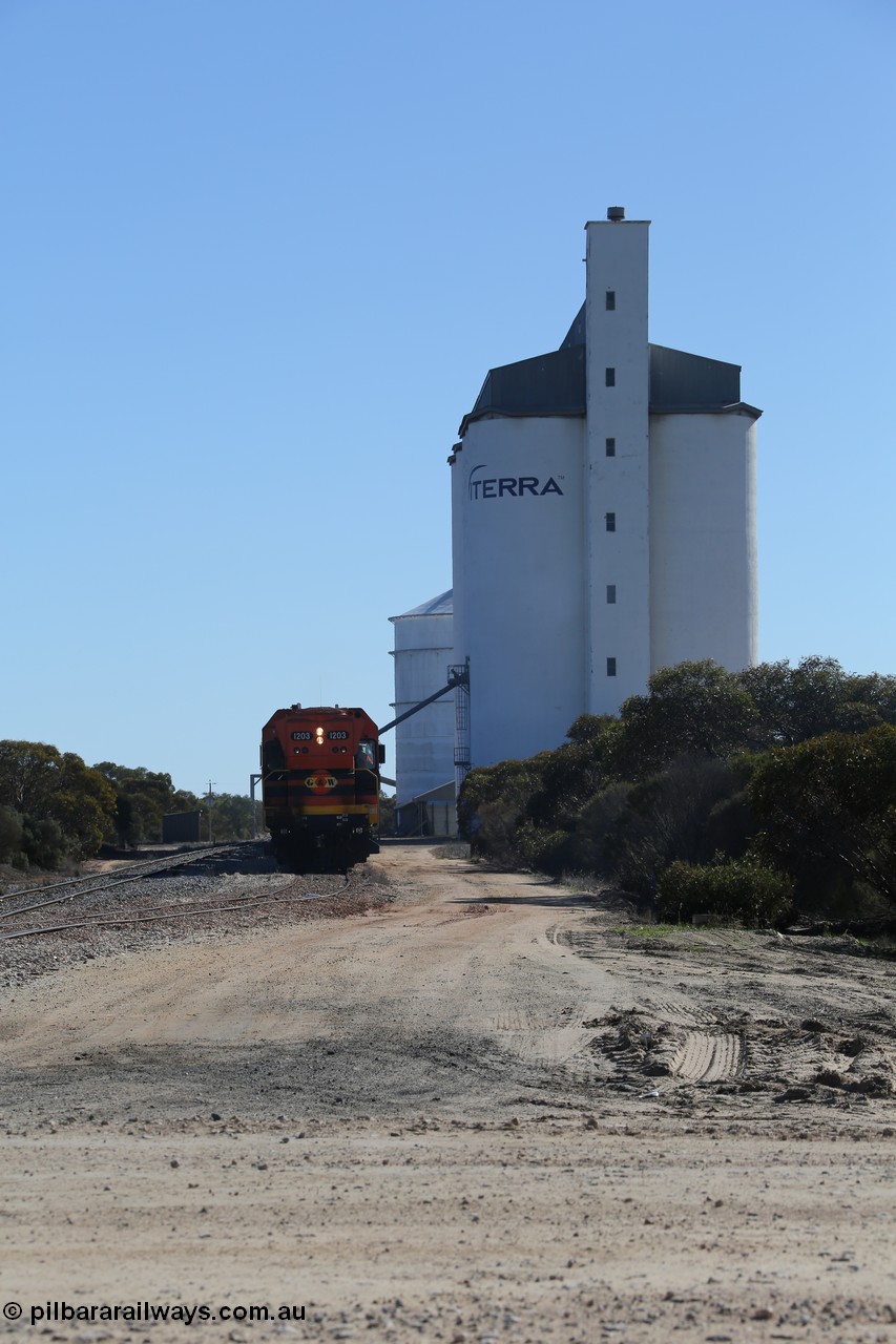 130703 0158
Murdinga, overview of the station yard looking north, Mallee style shelter train control building on the left, grain train loading on the siding, eight cell concrete grain silo complex with Ascom single cell behind it. [url=https://goo.gl/maps/LShPNnU33Qbmc1879]Geo location[/url]. 3rd July 2013.
