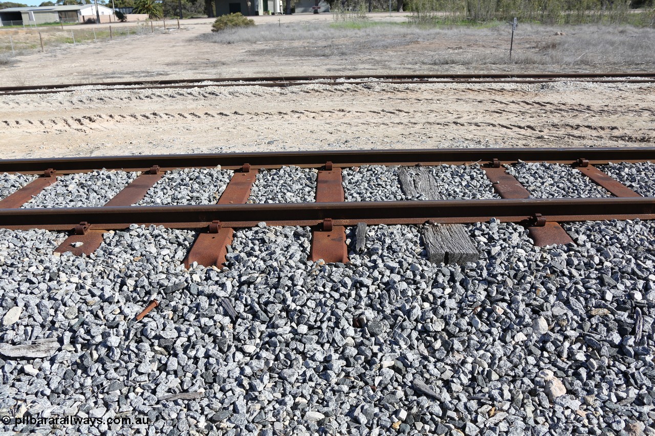 130703 0189
Tooligie, mixture of steel and timber sleepers on the mainline. 3rd July 2013.
