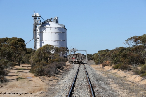 130703 0123
Murdinga, loading of grain from the Ascom out loading spout, looking south from Railway Tce. [url=https://goo.gl/maps/cY3UB7Z7a5uRhPZf9]Geo location[/url]. July 3, 2006.
