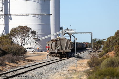 130703 0125
Murdinga, loading of grain from the Ascom out loading spout, looking south from Railway Tce. [url=https://goo.gl/maps/cY3UB7Z7a5uRhPZf9]Geo location[/url]. July 3, 2006.
