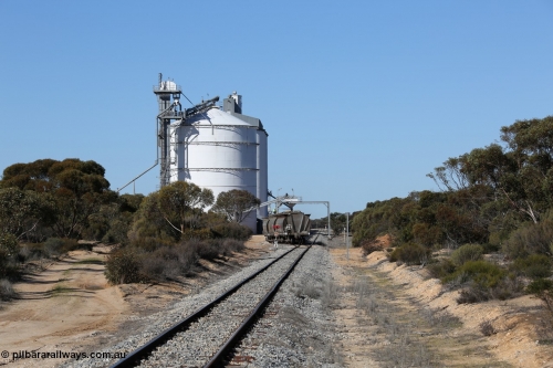 130703 0126
Murdinga, loading of grain from the Ascom out loading spout, looking south from Railway Tce. [url=https://goo.gl/maps/cY3UB7Z7a5uRhPZf9]Geo location[/url]. July 3, 2006.
