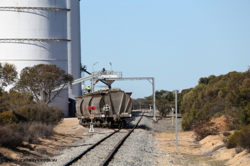 130703 0127
Murdinga, loading of grain from the Ascom out loading spout, looking south from Railway Tce. [url=https://goo.gl/maps/cY3UB7Z7a5uRhPZf9]Geo location[/url]. July 3, 2006.
