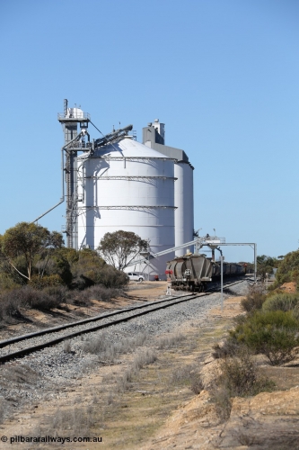 130703 0128
Murdinga, loading of grain from the Ascom out loading spout, looking south from Railway Tce. [url=https://goo.gl/maps/cY3UB7Z7a5uRhPZf9]Geo location[/url]. July 3, 2006.
