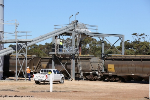 130703 0132
Murdinga, HCN type bogie grain hopper waggon HCN 20, originally an NHB type hopper built by Tulloch Ltd for the Commonwealth Railways North Australia Railway. One of forty rebuilt by Islington Workshops 1978-79 to the HCN type with a 36 ton rating, increased to 40 tonnes in 1984. Seen here being loaded with grain between two HAN type waggons with Moose Metalworks roll-top cover.
Keywords: HCN-type;HCN20;SAR-Islington-WS;rebuild;Tulloch-Ltd-NSW;NHB-type;NHB1594;