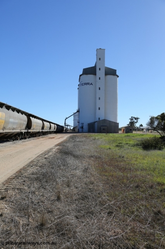 130703 0150
Murdinga, view looking north at the eight cell concrete silo complex built by SACBH with the Ascom silo visible behind and train being loaded in the siding. [url=https://goo.gl/maps/WFRgXQam4P4REFzu6]Geo location[/url]. July 3, 2006.
