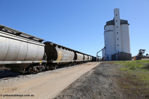 130703 0152
Murdinga, view looking north at the eight cell concrete silo complex built by SACBH with the Ascom silo visible behind and train being loaded in the siding. [url=https://goo.gl/maps/WFRgXQam4P4REFzu6]Geo location[/url]. July 3, 2006.
