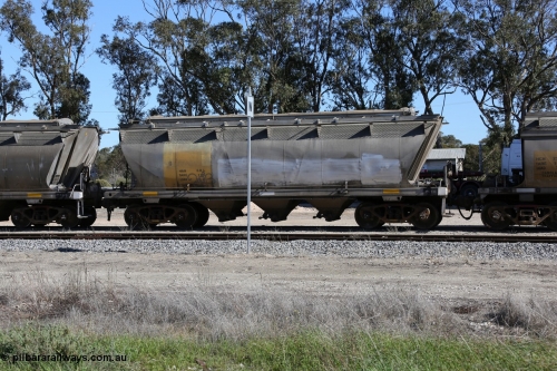 130703 0176
Tooligie, HAN type bogie grain hopper waggon HAN 68, final one of sixty eight units built by South Australian Railways Islington Workshops between 1969 and 1973 as the HAN type for the Eyre Peninsula system.
Keywords: HAN-type;HAN68;1969-73/68-68;SAR-Islington-WS;