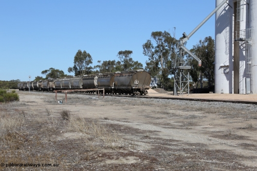 130703 0182
Tooligie, a rake of loaded grain waggons of the HAN, HBN and HCN types awaits collection for the trip to Port Lincoln. July 3, 2006.
