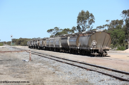130703 0192
Tooligie, a rake of loaded grain waggons of the HAN, HBN and HCN types awaits collection for the trip to Port Lincoln. July 3, 2006.
