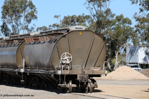 130703 0194
Tooligie, HAN type bogie grain hopper waggon HAN 35, one of sixty eight units built by South Australian Railways Islington Workshops between 1969 and 1973 as the HAN type for the Eyre Peninsula system. July 3, 2006.
Keywords: HAN-type;HAN35;1969-73/68-35;SAR-Islington-WS;