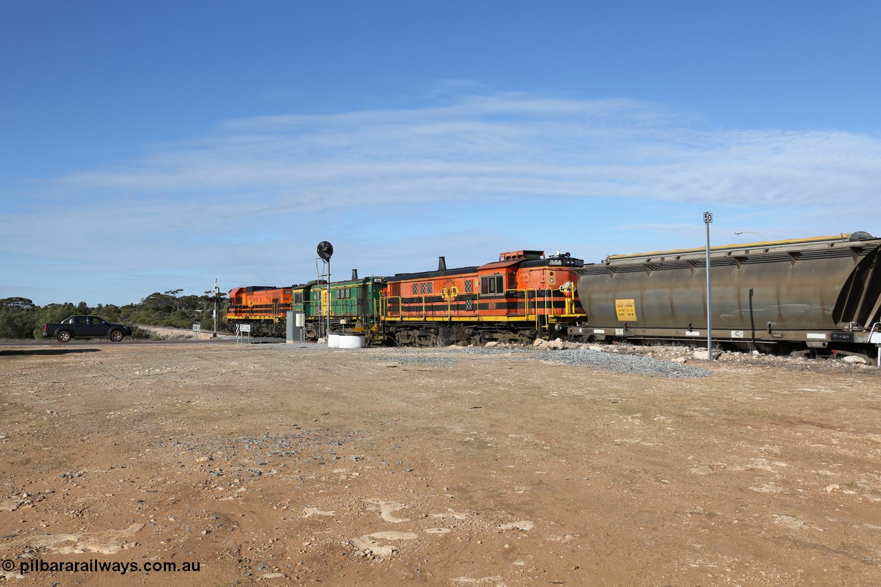 130704 0415
Kyancutta, south bound loaded grain train has stopped here to collect a loaded rack of grain waggons, seen here backing up to re-join the rest of the train on the mainline as it crosses the Eyre Highway grade crossing and one of only three electric signals on the network, behind EMD 1204 and twin ALCo 830 units 873 and 851. 4th July 2013.
Keywords: 830-class;851;AE-Goodwin;ALCo;DL531;84137;