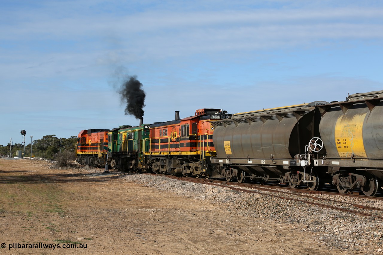 130704 0417
Kyancutta, south bound loaded grain train has stopped here to collect a loaded rack of grain waggons, seen here backing up to re-join the rest of the train on the mainline with one of only three electric signals on the network which a sharp eye might notice has turned red as the grade crossing protection has timed out, behind EMD 1204 and twin ALCo 830 units 873 and 851. 4th July 2013.
Keywords: 830-class;851;84137;AE-Goodwin;ALCo;DL531;