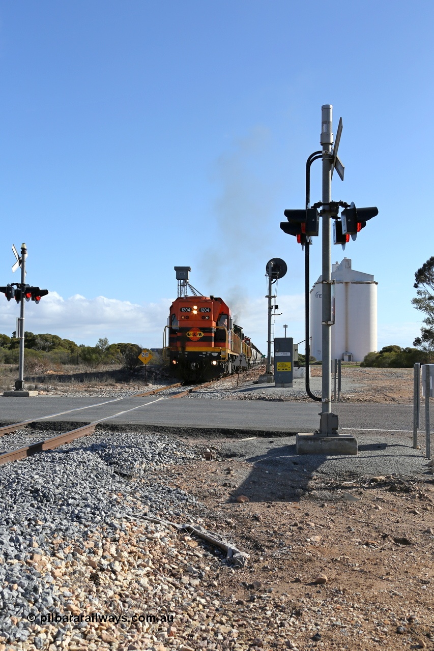 130704 0441
Kyancutta, the south bound loaded grain train gets away from attaching a further fourteen loads here as it is about to cross the Eyre Highway grade crossing with F Type flashing lights. 4th July 2013.
Keywords: 1200-class;1204;Clyde-Engineering-Granville-NSW;EMD;G12C;65-428;A-class;A1514;