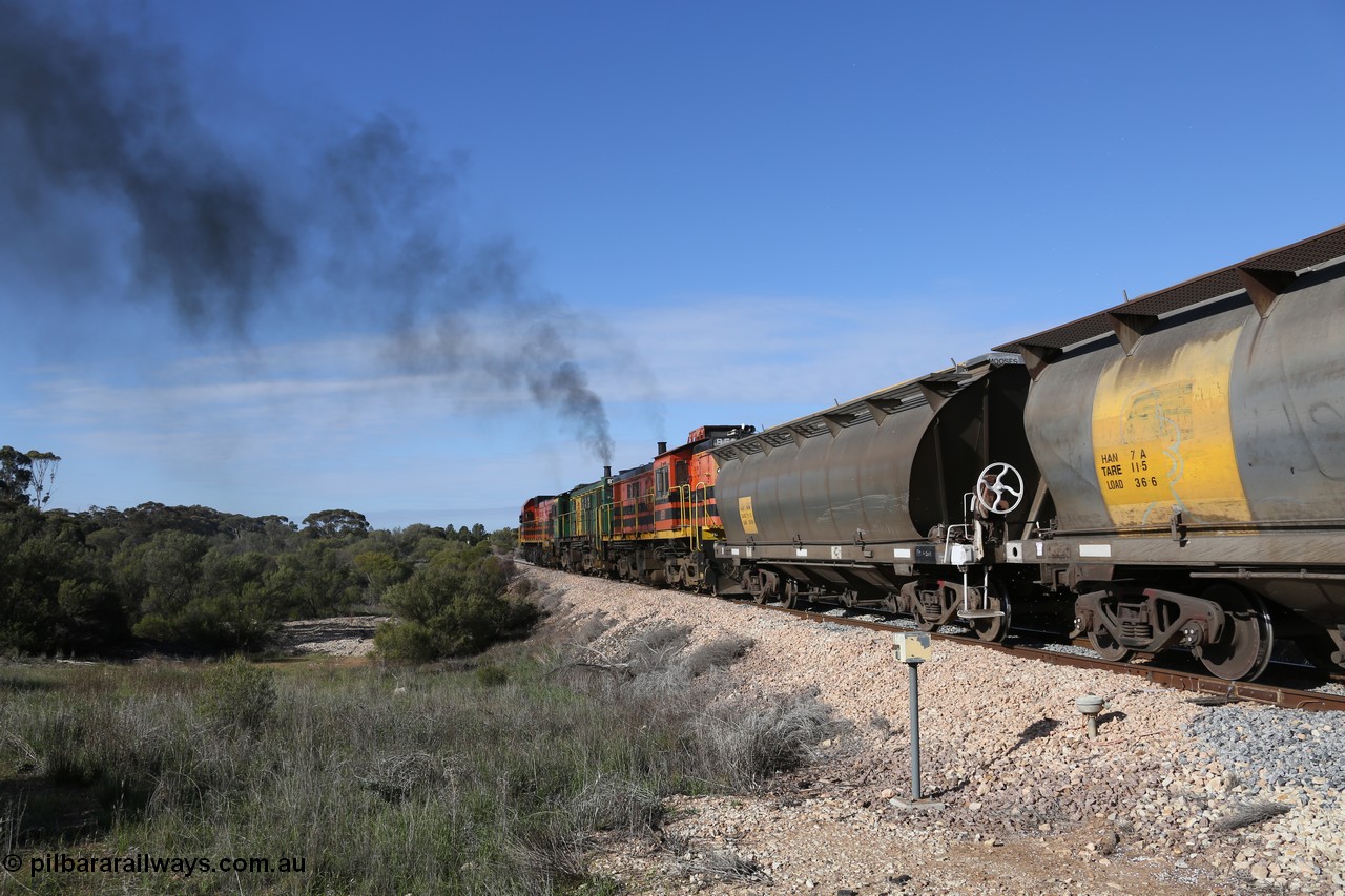 130704 0450
Kyancutta, as the train powers away south some examples of the SAR built HAN type of bogie grain waggons lead the front of the rake, sixty eight units were built by South Australian Railways Islington Workshops between 1969 and 1973 for the Eyre Peninsula system. 4th July 2013.
Keywords: HAN-type;HAN54;1969-73/68-54;SAR-Islington-WS;