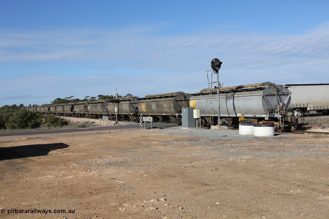 130704 0483
Kyancutta, the rear of a south bound loaded grain as it departs with the final five waggons all HCN type bogie grain hoppers converted by SAR Islington Workshops from Tulloch Ltd NSW built NHB type hopper waggons as they cross the Eyre Highway grade crossing and one of the three electric searchlight signals on the network. 4th July 2013.
Keywords: HCN-type;HCN40;SAR-Islington-WS;rebuild;Tulloch-Ltd-NSW;NHB-type;NHB1596;