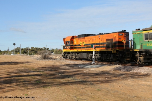 130704 0379
Kyancutta, 1200 class unit 1204 wearing current owner Genesee & Wyoming livery is a Clyde Engineering built EMD G12C model with serial 65-428 was originally built in 1965 for Western Mining Corporation and operated by the WAGR as their A class A 1514 recoded to 1204 in April 2004 and to the Eyre Peninsula in July 2004.
Keywords: 1200-class;1204;Clyde-Engineering-Granville-NSW;EMD;G12C;65-428;A-class;A1514;