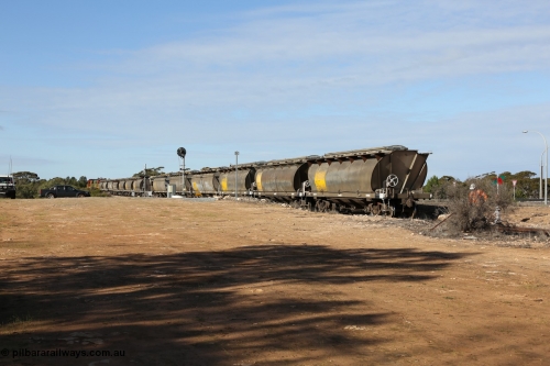 130704 0407
Kyancutta, south bound loaded grain train has stopped here to collect a loaded rack of grain waggons, the second driver has just restored the points for the mainline as the train waits across the Eyre Highway grade crossing and one of only three electric signals on the network, behind EMD 1204 and twin ALCo 830 units 873 and 851. July 4, 2006.
