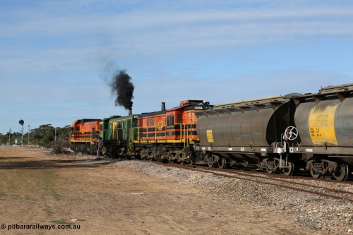 130704 0417
Kyancutta, south bound loaded grain train has stopped here to collect a loaded rack of grain waggons, seen here backing up to re-join the rest of the train on the mainline with one of only three electric signals on the network which a sharp eye might notice has turned red as the grade crossing protection has timed out, behind EMD 1204 and twin ALCo 830 units 873 and 851. July 4, 2006.
Keywords: 830-class;851;AE-Goodwin;ALCo;DL531;84137;
