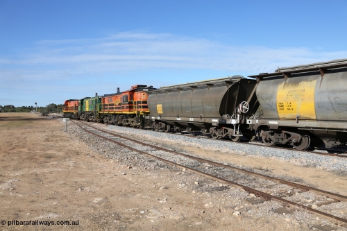 130704 0423
Kyancutta, south bound loaded grain train has stopped here to collect a loaded rack of grain waggons, seen here backing up to re-join the rest of the train on the mainline with one of only three electric signals on the network with the original goods siding closest to the camera, behind EMD 1204 and twin ALCo 830 units 873 and 851. July 4, 2006.
Keywords: HAN-type;HAN54;1969-73/68-54;SAR-Islington-WS;