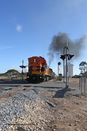 130704 0445
Kyancutta, the south bound loaded grain train gets away from attaching a further fourteen loads here as it crosses the Eyre Highway grade crossing with F Type flashing lights behind 1200 class EMD unit 1204. July 4, 2006.
Keywords: 1200-class;1204;Clyde-Engineering-Granville-NSW;EMD;G12C;65-428;A-class;A1514;