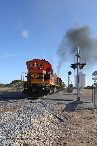 130704 0446
Kyancutta, the south bound loaded grain train gets away from attaching a further fourteen loads here as it crosses the Eyre Highway grade crossing with F Type flashing lights behind 1200 class EMD unit 1204. July 4, 2006.
Keywords: 1200-class;1204;Clyde-Engineering-Granville-NSW;EMD;G12C;65-428;A-class;A1514;