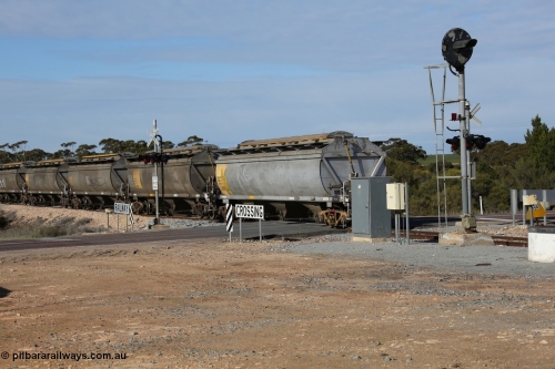 130704 0484
Kyancutta, the rear of a south bound loaded grain as it departs with the final five waggons all HCN type bogie grain hoppers converted by SAR Islington Workshops from Tulloch Ltd NSW built NHB type hopper waggons as they cross the Eyre Highway grade crossing and one of the three electric searchlight signals on the network. July 4, 2006.
Keywords: HCN-type;HCN40;SAR-Islington-WS;rebuild;Tulloch-Ltd-NSW;NHB-type;NHB1596;