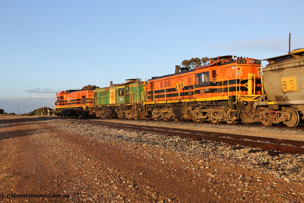 130705 0523
Lock, 1203, 846 and 859 shunt their loading grain train out of the siding onto the mainline. Genesee & Wyoming locomotive AE Goodwin ALCo model DL531 unit 859 'City of Port Lincoln' serial 84705, built in 1963, 859 started life at Peterborough, spent some years in Tasmania and even spent time in Perth on standard gauge in 2002 before being repainted and transferred to the Eyre Peninsula system in 2003. 5th of July 2013.
Keywords: 830-class;859;84137;AE-Goodwin;ALCo;DL531;