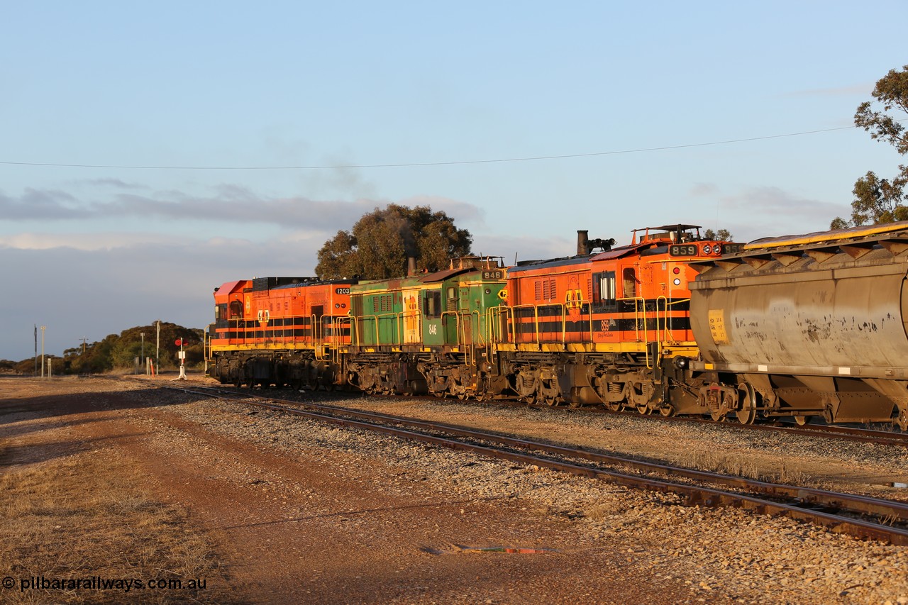 130705 0529
Lock, 1203, 846 and 859 shunt their loading grain train out of the siding onto the mainline. Genesee & Wyoming locomotive AE Goodwin ALCo model DL531 unit 859 'City of Port Lincoln' serial 84705, built in 1963, 859 started life at Peterborough, spent some years in Tasmania and even spent time in Perth on standard gauge in 2002 before being repainted and transferred to the Eyre Peninsula system in 2003. 5th of July 2013.
Keywords: 830-class;859;84137;AE-Goodwin;ALCo;DL531;